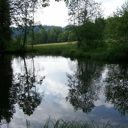 Alte Schreinerei Decent Tatil Evi Jungholz