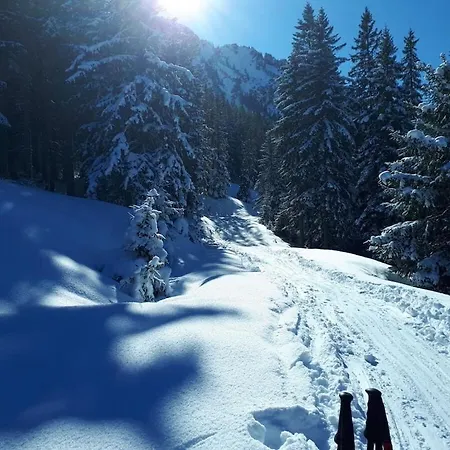 Alte Schreinerei Decent Hébergement de vacances *